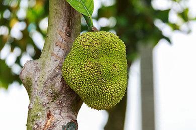 任天堂开启《塞尔达传说：旷野之息》7折促销